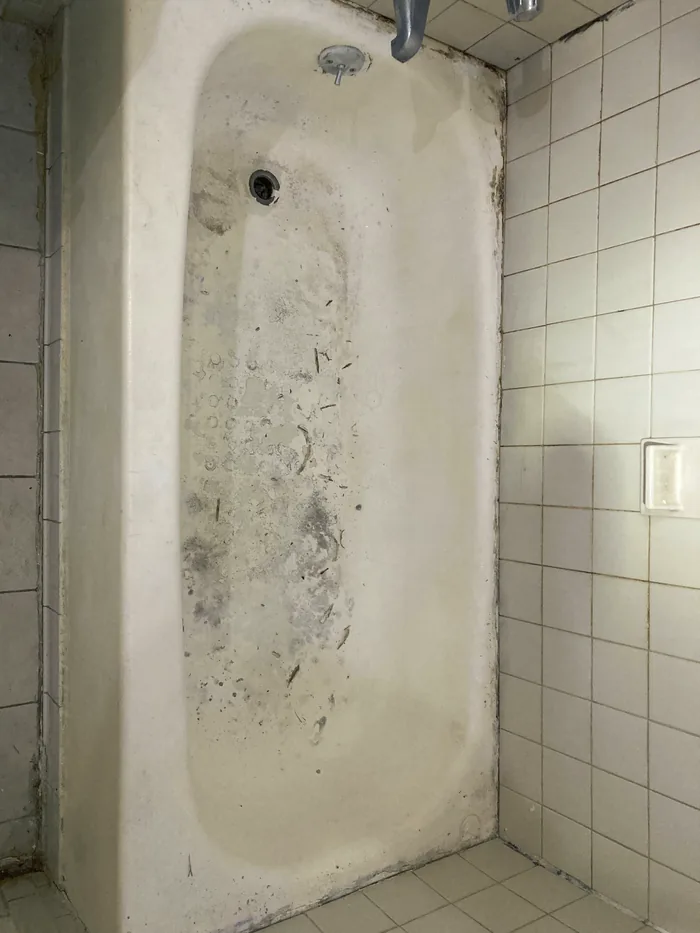 An old tub, grime and pitting in the basin.